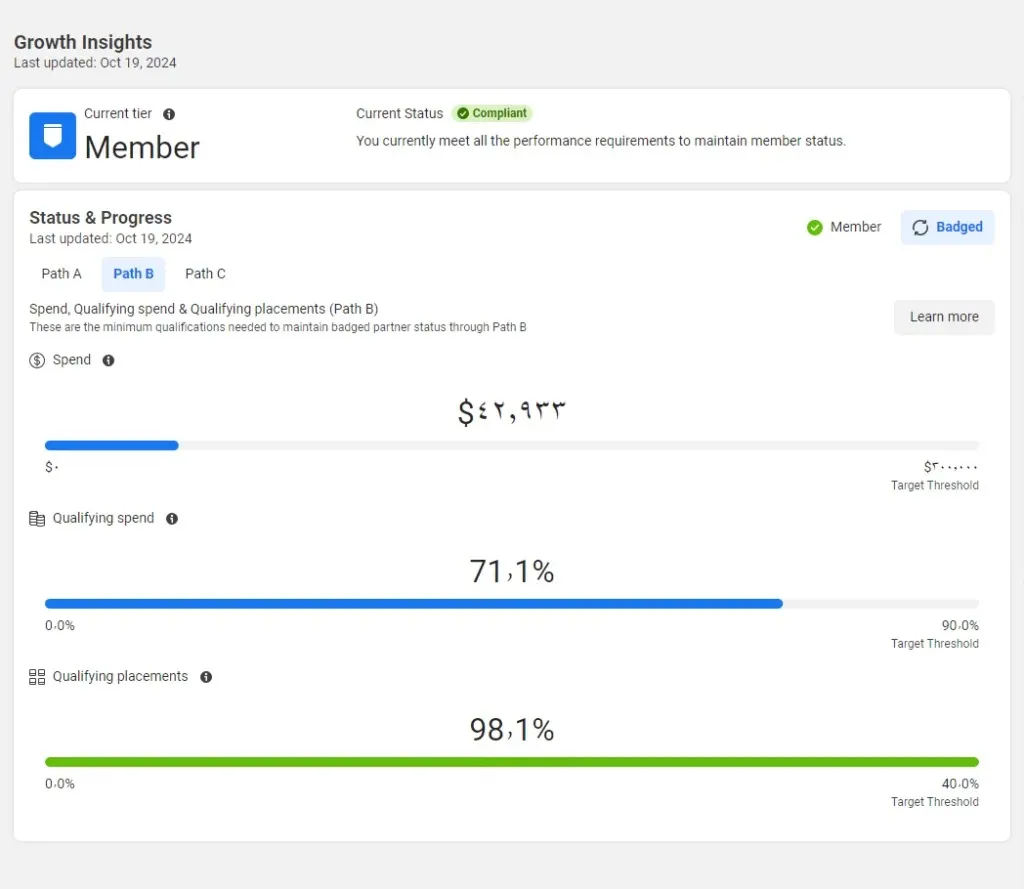 Facebook Partner Growth Insights — Member Badged